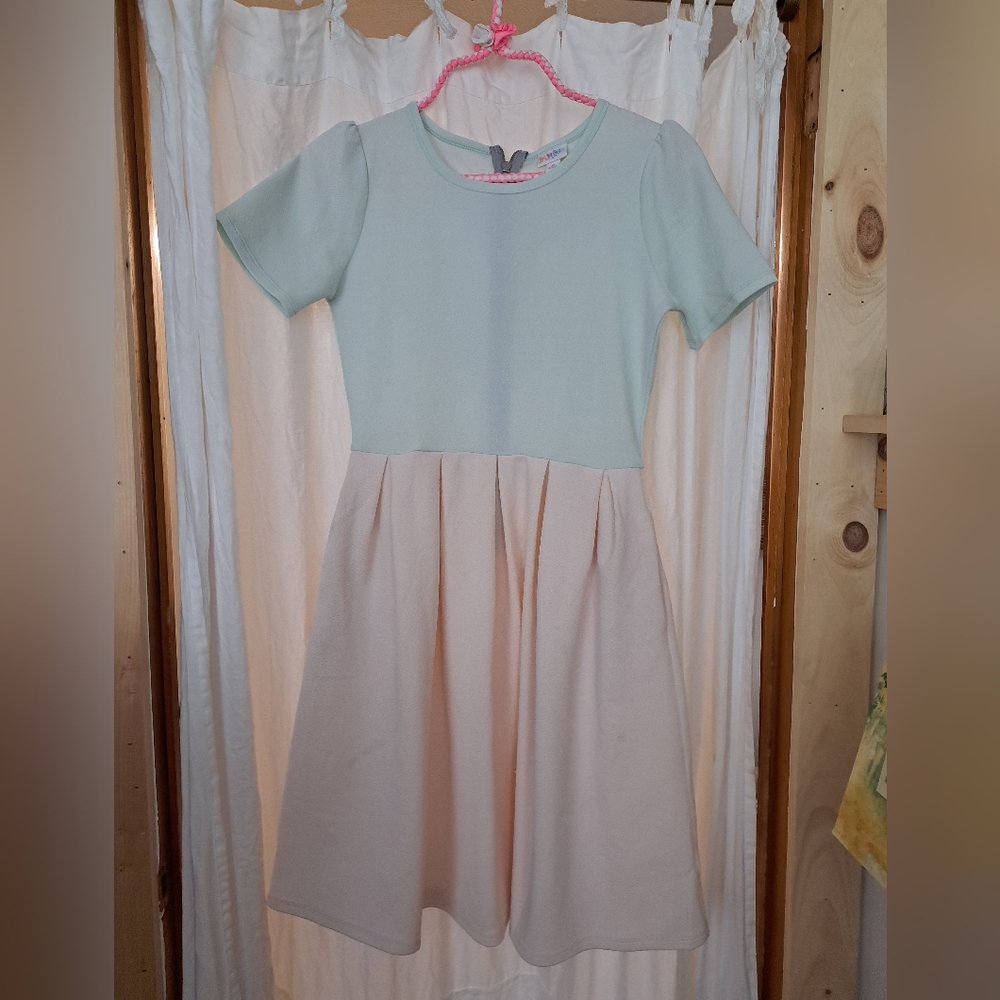 LuLaRoe Mint and Pink Casual Dress